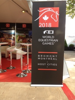 Alltech FEI World Equestrian Games 2014 – Normandy